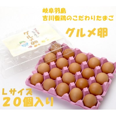 吉川養鶏のグルメ卵　Lサイズ20個(割れ保証4個含む)羽島観光協会推奨【はしまブランド】認定品　冷蔵【配送不可地域：離島】【1716004】