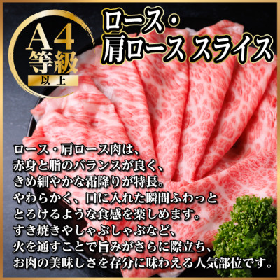 飛騨牛 厳選ロース・肩ローススライス500g　すき焼き・しゃぶしゃぶ用牛肉　黒毛和牛【配送不可地域：離島】【1484848】