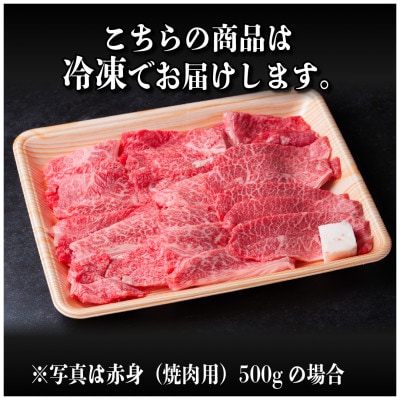 飛騨牛 赤身(焼肉用)500g【配送不可地域：離島】【1543752】