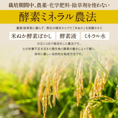 「つちのおと」米粉1kg　栽培期間中、農薬・化学肥料・除草剤不使用　岐阜県産初霜　令和5年産【1531070】