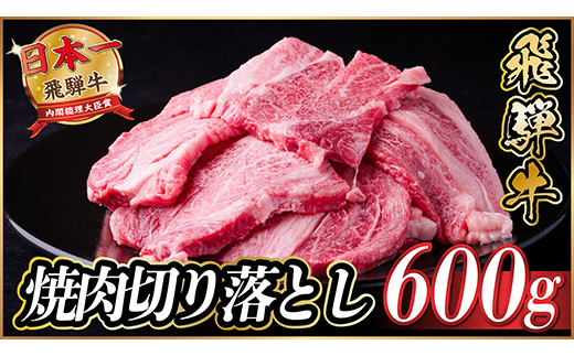飛騨牛 焼肉切り落とし 約600g(約300g×2)タレ付き 訳あり【冷蔵便】A4〜A5等級黒毛和牛【配送不可地域：離島】【1543372】
