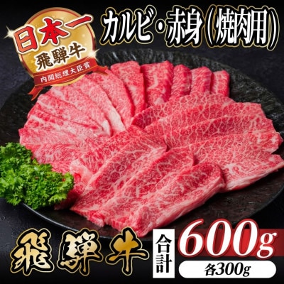 飛騨牛 厳選カルビ・赤身(焼肉・BBQ用)600g　小分け　黒毛和牛　A4〜A5等級【配送不可地域：離島】【1543762】