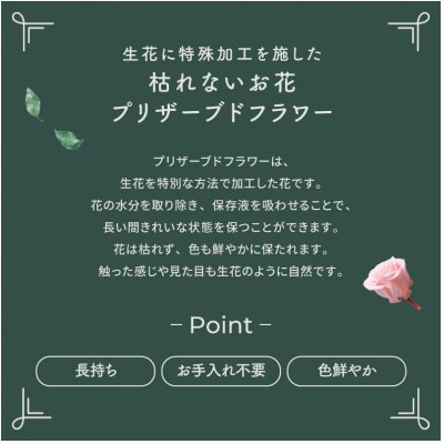 プリザーブドフラワーアレンジ 【プティ カーネーション(レッド)】【1753205】