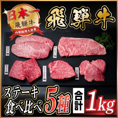 飛騨牛　ステーキ5種食べ比べセット　計1kg【配送不可地域：離島】【1530558】