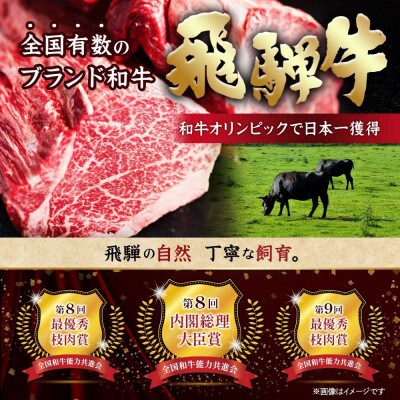 【毎月定期便】飛騨牛　切り落とし　約500g【冷蔵便】全3回【配送不可地域：離島】【4055013】