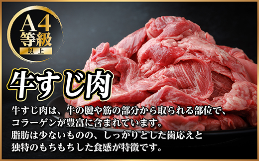 飛騨牛 牛すじ肉 約500g 訳あり【冷蔵便】A4〜A5等級【配送不可地域：離島】【1634455】