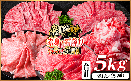 【毎月定期便】飛騨牛　赤身・霜降り定期便　計5kg カルビ・赤身・ロース(焼肉・BBQ用)全5回【配送不可地域：離島】【4075139】