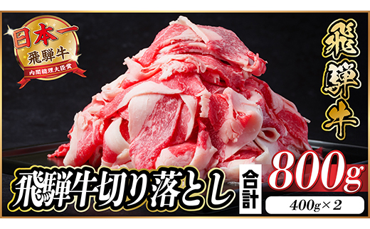飛騨牛 切り落とし 約800g(約400g×2パック)【冷蔵便】A4〜A5等級 黒毛和牛 小分け【配送不可地域：離島】【1544083】