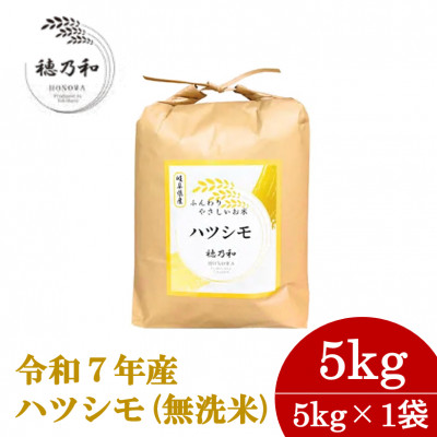 【先行予約】令和7年産　岐阜県産ハツシモ(無洗米)5kg【配送不可地域：離島】【1540849】