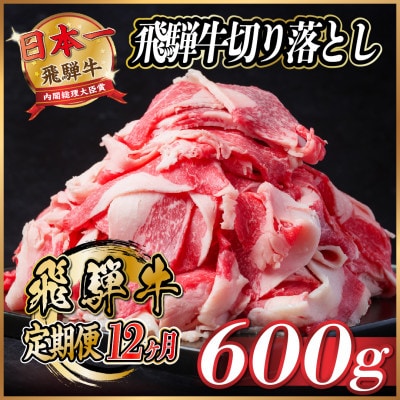 【毎月定期便】飛騨牛　切り落とし　約600g【冷蔵便】全12回【配送不可地域：離島】【4055016】