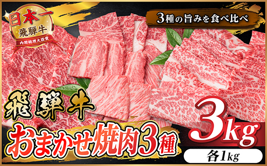 飛騨牛　おまかせ焼肉3種セット約3kg(各約1kg)訳あり　BBQ　上カルビ・ロースなど【配送不可地域：離島】【1739048】