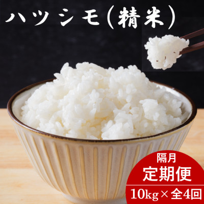 【2ヵ月毎定期便】岐阜県産ハツシモ(精米) 10kg全4回【配送不可地域：離島】【4076396】