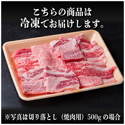 【年内発送】飛騨牛　訳あり　切り落とし焼肉1kg【配送不可地域：離島】【1487351】