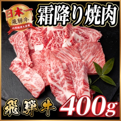 飛騨牛 霜降り焼肉 約400g 黒毛和牛 BBQ用【配送不可地域：離島】【1733114】