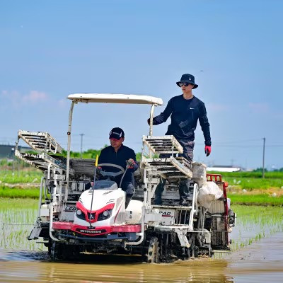【発送月固定定期便】【先行予約】生産者応援!岐阜県産ハツシモ(精米)10kg【2・3月発送】全2回【配送不可地域：離島】【4073184】