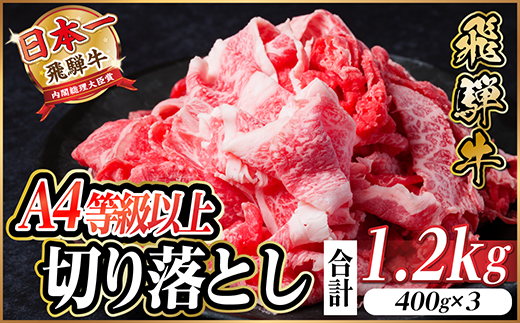 【12/20ご入金分まで年内発送】飛騨牛 厳選切り落とし 1.2kg　A4〜A5等級　黒毛和牛【配送不可地域：離島】【1487292】
