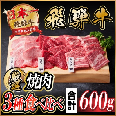 飛騨牛　焼肉厳選3種食べ比べセット(カルビ・トモサンカク・モモ)　約600g【配送不可地域：離島】【1531174】