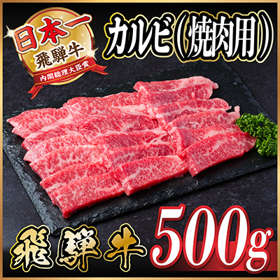 飛騨牛　カルビ　　焼肉　500g【配送不可地域：離島】【1487355】