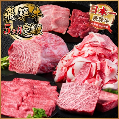 【毎月定期便】飛騨牛 定期便 計2.2kg【冷蔵便】全5回【配送不可地域：離島】【4055507】