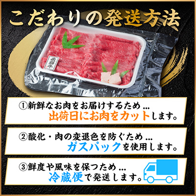 【毎月定期便】飛騨牛　切り落とし　約1kg【冷蔵便】全12回【配送不可地域：離島】【4055088】