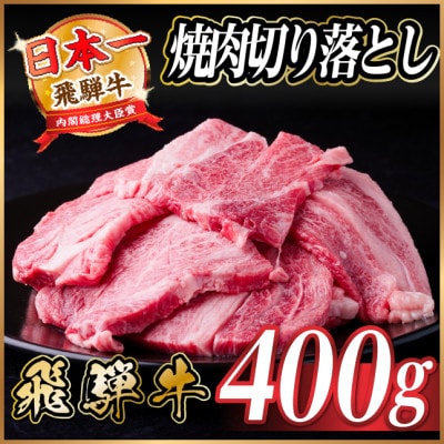 飛騨牛 焼肉切り落とし 約400g タレ付き 訳あり【冷蔵便】A4〜A5等級 黒毛和牛【配送不可地域：離島】【1721950】