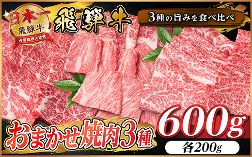 飛騨牛　おまかせ焼肉3種セット約600g(各約200g)訳あり　BBQ　上カルビ・ロースなど【配送不可地域：離島】【1739032】