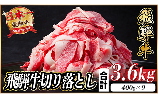 飛騨牛 切り落とし 約3.6kg(約400g×9パック)【冷蔵便】A4〜A5等級 黒毛和牛 小分け【配送不可地域：離島】【1544108】