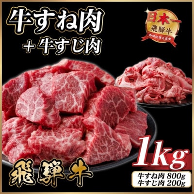 飛騨牛 牛すね肉・牛すじ肉煮込み料理セット 計約1kg【冷蔵便】訳あり A4〜A5等級 黒毛和牛【配送不可地域：離島】【1758526】