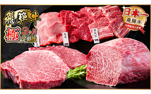 【毎月定期便】飛騨牛 極定期便 計1.7kg【冷蔵便】A4〜A5等級 シャトーブリアンほか 全3回【配送不可地域：離島】【4055508】