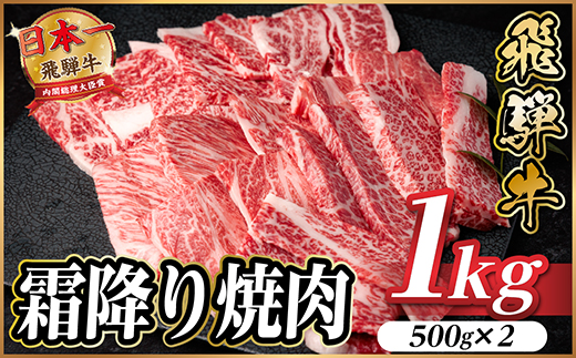 飛騨牛 霜降り焼肉 約1kg(約500g×2)BBQ用(上カルビ、肩ロース、カイノミなど)訳あり【配送不可地域：離島】【1733140】