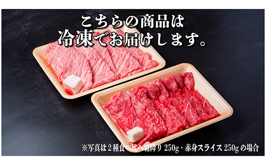飛騨牛 霜降・赤身スライス食べ比べセット　計500g すき焼き・しゃぶしゃぶ用　黒毛和牛【配送不可地域：離島】【1543810】