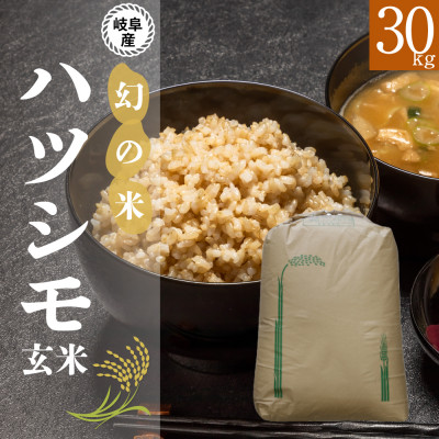 【玄米】新米　岐阜県産ハツシモ　30kg　令和6年産【1530932】