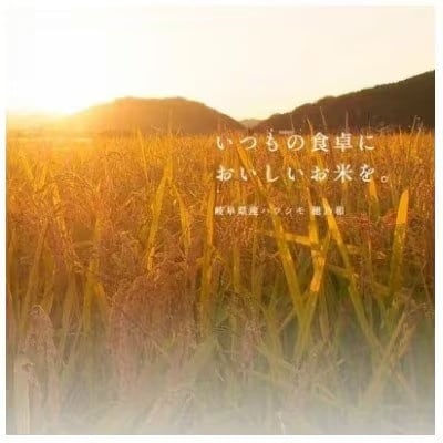 【2ヵ月毎定期便】岐阜県産ハツシモ(無洗米) 10kg全5回【配送不可地域：離島】【4076362】