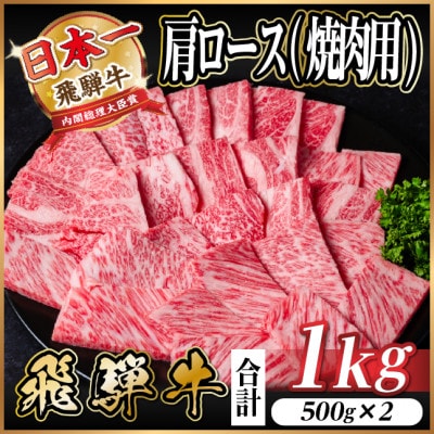 【12/20ご入金分まで年内発送】飛騨牛　厳選肩ロース(焼肉・BBQ用) 1kg(500g×2)　【配送不可地域：離島】【1487296】