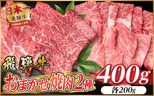 飛騨牛　おまかせ焼肉2種セット約400g(各約200g) 訳あり　BBQ　上カルビ・ロースなど【配送不可地域：離島】【1738938】