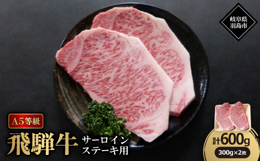 A5等級飛騨牛:サーロインステーキ用600g【配送不可地域：離島】【1539460】