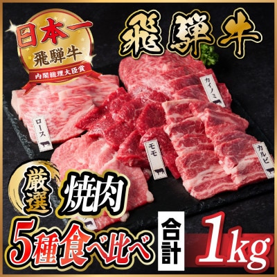 飛騨牛　焼肉厳選5種食べ比べセット(カルビ・トモサンカク・モモ・ロース・カイノミ)約1kg　タレ付き【配送不可地域：離島】【1532671】