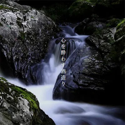 日本酒仕込みリキュールセット　500ml×4種(梅・柚子・生姜・ヨーグルト)　セット【1497275】