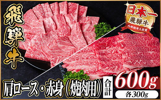 【12/20ご入金分まで年内発送】飛騨牛　厳選肩ロース・赤身(焼肉・BBQ用)600g　小分け【配送不可地域：離島】【1667154】