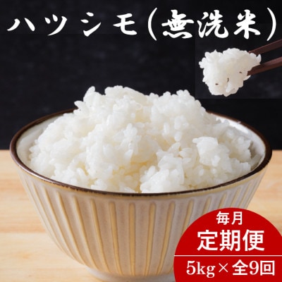 【毎月定期便】岐阜県産ハツシモ(無洗米) 5kg全9回【配送不可地域：離島】【4076379】