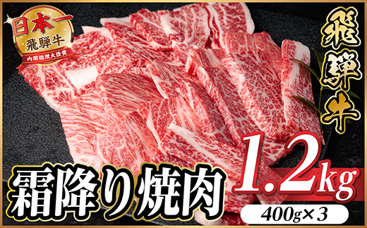 飛騨牛 霜降り焼肉 約1.2kg(約400g×3)BBQ用(上カルビ、肩ロース、カイノミなど)訳あり【配送不可地域：離島】【1733143】