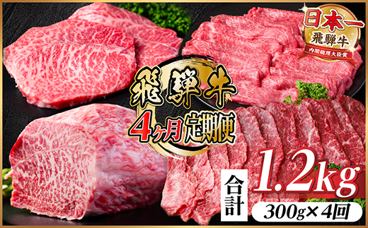 【毎月定期便】飛騨牛 赤身定期便 計1.2kg 焼肉 BBQ すき焼き しゃぶしゃぶ ブロック全4回【配送不可地域：離島】【4072753】