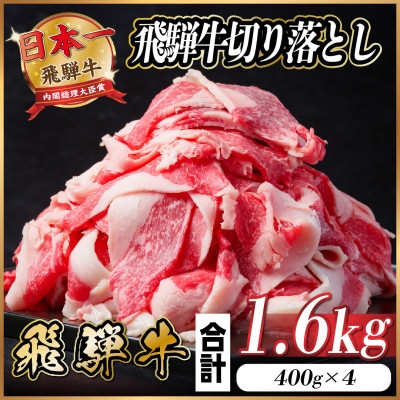 飛騨牛 切り落とし 約1.6kg(約400g×4パック)【冷蔵便】【配送不可地域：離島】【1544085】