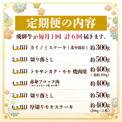 【毎月定期便】飛騨牛 少なめ定期便 計2.5kg 全6回 ステーキ、切り落とし、焼肉、赤身ブロック肉【配送不可地域：離島】【4055503】