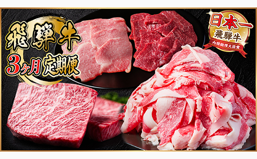 【毎月定期便】飛騨牛 定期便 計1.4kg【冷蔵便】A4〜A5 バーベキュー 牛丼 希少部位 全3回【配送不可地域：離島】【4055505】
