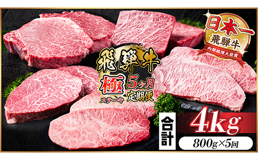 【毎月定期便】飛騨牛 極ステーキ定期便　計約4kg【冷蔵便】全5回　A4〜A5等級　黒毛和牛【配送不可地域：離島】【4056917】