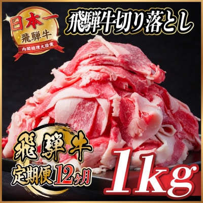 【毎月定期便】飛騨牛　切り落とし　約1kg【冷蔵便】全12回【配送不可地域：離島】【4055088】