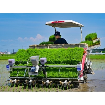 什å7幎ç£ãå²éçç£ããã·ã¢(粟米)10kgã1657395ã