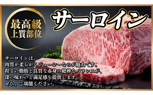 飛騨牛　ステーキ2種食べ比べセット　計400g【配送不可地域：離島】【1530605】