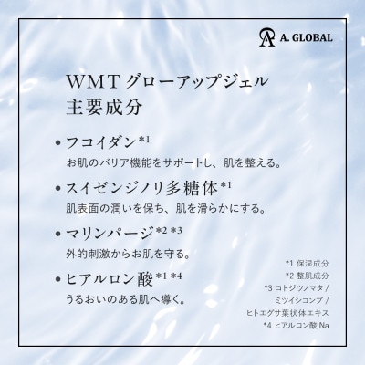 WMT GLOW UP GEL　(美容 スキンケア)【1705045】